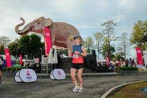 BIB: 
                            <button type="button" onclick="openModal(26529147)" class="btn btn-primary btn-sm float-right btn-popup" data-toggle="modal" data-target=".modal-high-quality">
                        <i class="fas fa-shopping-cart"></i> Add to Cart
                    </button>
                                            <button type="button" onclick="isThisMe(26529147, true)" class="btn btn-success btn-sm float-right btn-popup btn-isme hidden" data-toggle="tooltip" data-placement="bottom" title="นี่คือรูปของคุณใช่ไหม คลิกที่นี่เพื่อเอาเข้าอัลบั้ม">
                        <i class="fas fa-plus"></i> Add to album
                    </button>
                    <button type="button" onclick="isThisMe(26529147, false)" class="btn btn-warning btn-sm float-right btn-popup btn-isnotme hidden">
                        <i class="fas fa-ban"></i> Remove from album
                    </button>